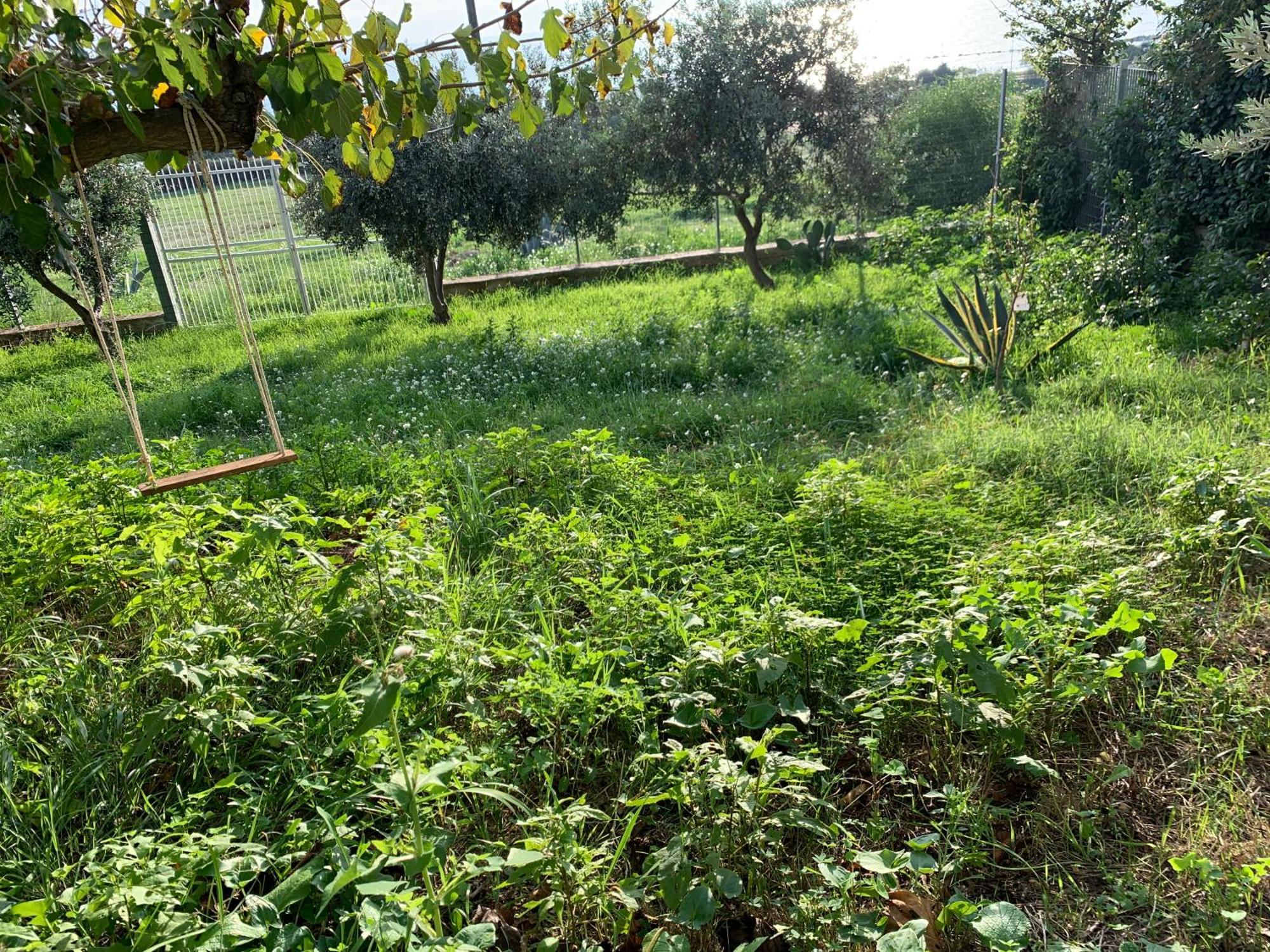 Casa Rituzza Apartman San Leone Kültér fotó